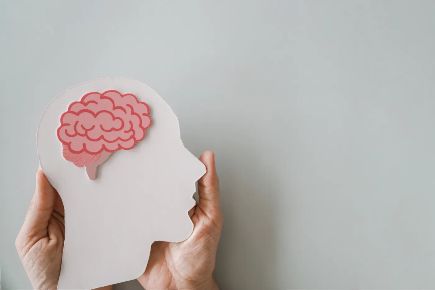 hands holding brain paper cutout